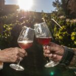 A Dreamy Escape Amid Songbird Valleys and Warm Sunlight