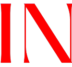 A Quiet Morning with a Petite Companion