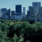 Navigating Corporate Tax and Regulatory Compliance with Confidence