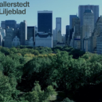 Internationell skatte- och internprissättning: Maximera värdet globalt