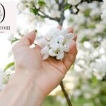 Therapy for Perfectionism in Nevada: Find Balance and Growth