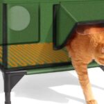 Best Dog Food for Puppy German Shepherds: Nutrition for Growth