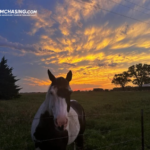 Oklahoma Storm Chasing: Chase Tornadoes with Expert Guides