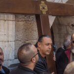 A Quiet Night Under Olive Shadows