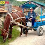 Guided Tours Moldova: Discover History, Scenery, and Local Charm