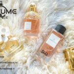 Hamidi Perfumese | Perfumepalace.in