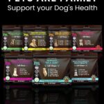 Multivitamins for Dogs: Essential Health Support for Your Pooch