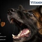Dog Immune System Support | Vitaminpaws.com