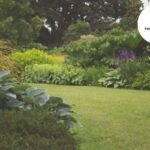 Weeding Services in Bristol | Eco-Friendly Garden Care