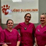 Hund tandvård i Skurup – vård för ditt husdjur