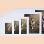 Certificate Folders: Durable, Elegant & Practical for Every Office