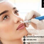 Lip Blush Permanent Makeup | Shadia Jaouhari & Co