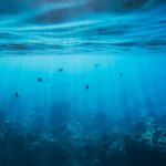 Dental emergency Ottawa: Fast, compassionate care at Dolphin Dentistry