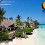 Best African Safari Packages: Unforgettable East Africa Adventures