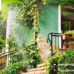 Artificial Grass Service North Shore | Gardenvisions.co.nz