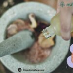 Empowered Choices: A Modern Guide to Health and Vitality for Women