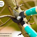 A Day in a Green Haven for Local Trees