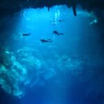 Scuba Diving in Tulum: Dive into Mexico’s Underwater World