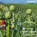 Agricultural CPA Firm Santa Barbara Trusted Tax Experts