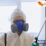 Edmonton Exterminator | Dragonpestcontrol.ca