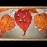 Diploma Framing in Miami: Custom, Elegant Displays