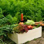 Wholesale Coffee And Spices Exporter – Trusted Global Supplier