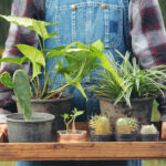 Farmers’ Futures: Connecting Buyers and Sellers Online