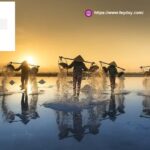 Business For Sales Singapore | Feyday.com