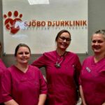 Veterinär Veberöd – omtanke och expertis för husdjur