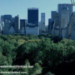 Skatteplanering | Wallerstedtliljeblad.com