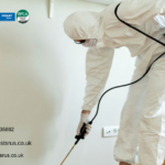 Protect Your Property With Best Pest Control Company London Solutions