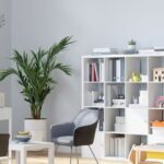 Adolescent Counselling in Cape Town with Kirstin Brink