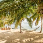 South Andros Bonefishing: Unpressured Flats & Expert Guides