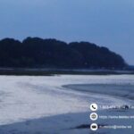 Handle accidents efficiently with Car accident lawyer in Beaufort SC