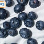 Zone Nicotine Pouches: Smooth Flavor, Trusted Quality