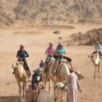 A Night Beneath Cairo’s Lights: An Enchanting Voyage