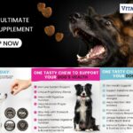 Bladder Support for Dogs: Gentle Care for a Healthier Pee Schedule
