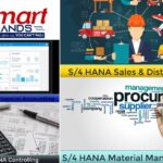 Sd Modules In Sap | Thesmarthands.com