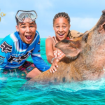 Explore Atlantis Bahamas Excursions: Unforgettable Island Adventures