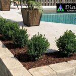 Interlock Paver Installation Cambridge – Expert Paving by Diadem Landscape