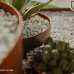 Garden Edging Ideas for a Neat, Durable Bed Line