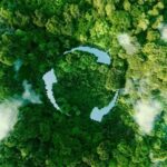 Reciclaje de servidores: gestión segura y sostenible para su empresa