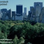 Skatterådgivning företag – smarta beslut för din ekonomi