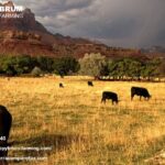 Agricultural Taxation Expert in Santa Maria | Trusted Guidance