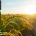 Psykolog relationer Stockholm – stöd och rådgivning i Sverige