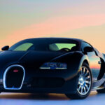 Auto Transport Service Texas | Safe & Reliable Car Shipping