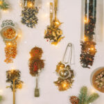 A Gentle Brew: A Tale of Everyday Delights