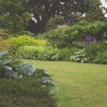 Weeding Services in Bristol | Tidy Gardeners Bristol
