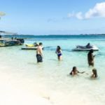 Bahamas Rose Island Tour: Snorkel, Swim with Calves & More