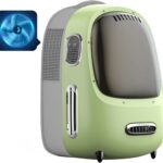 Choosing Pet Cargo Airlines in the USA: Safe, Reliable Options